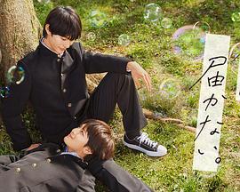 燃油車鬥魂 第三季4K超清手机在线观看完整版免费播放